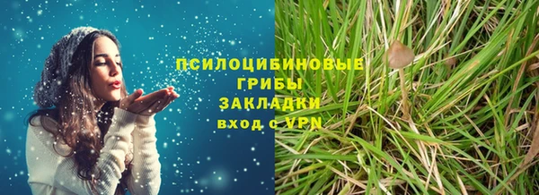 2c-b Козловка