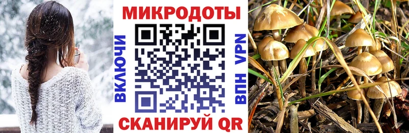 Псилоцибиновые грибы мицелий  Купить где  Петухово 
